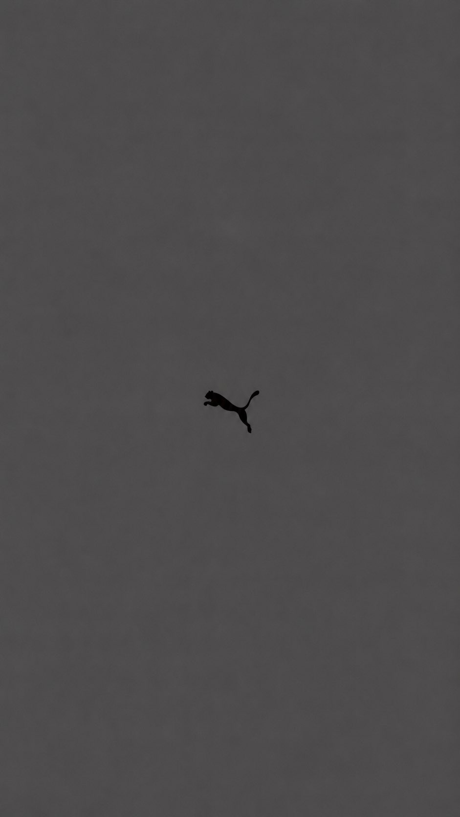 Minimal Luxury Fashion Wallpaper Tiny Black Silhouette 3